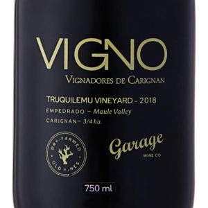 GARAGE WINES VIGNO DRY-FARMED OLD VINES D.O MAULE VALLEY GARRAFA